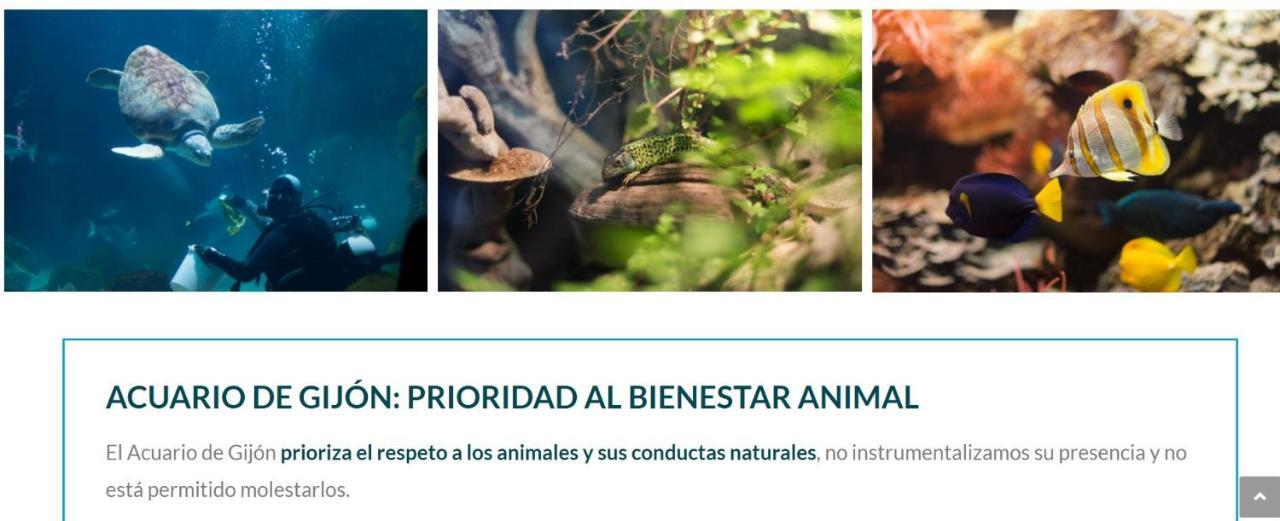 Playa Del Puntal Villaviciosa Asturias Lujo Primera Linea Playa Eksteriør bilde